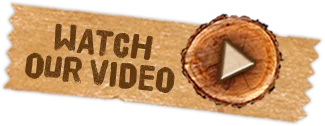 Watch Our California Summer Camp Video